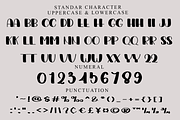 Sunday, a Script Font by FreshTypeINK (Thumbnail 4 of 6)