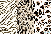Quality Textured Animal Print Pack, a Pattern Graphic by Lindy_doodle (Thumbnail 5 of 10)