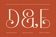 Hustle Batik Elegant Display Serif, a Serif Font by timelesstype.co (Thumbnail 6 of 20)