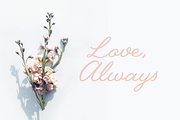 Jullina - Handwriting Script Font, a Script Font by Danielle Eneh (Thumbnail 13 of 13)