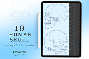 Human Skull Brush Stamp Set