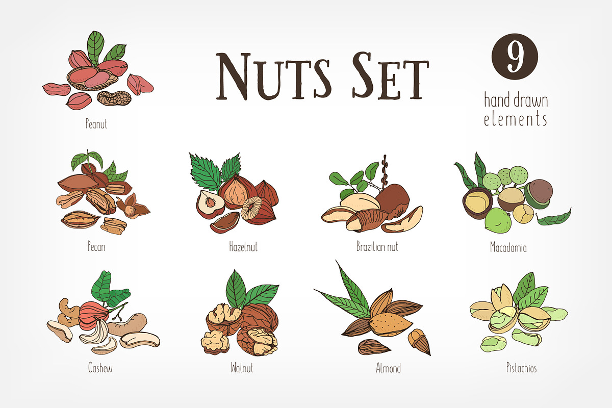 Nuts set + seamless patterns, a Food Illustration by Good Studio (Photo 1 of 8)