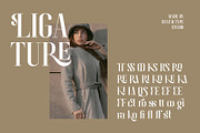 Brayena Elegant Serif Font, a Serif Font by RantautypeStudio (Thumbnail 15 of 19)
