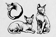 Sphynx Cat Illustration Pack, an Animal Illustration by Tekuni (Thumbnail 10 of 14)