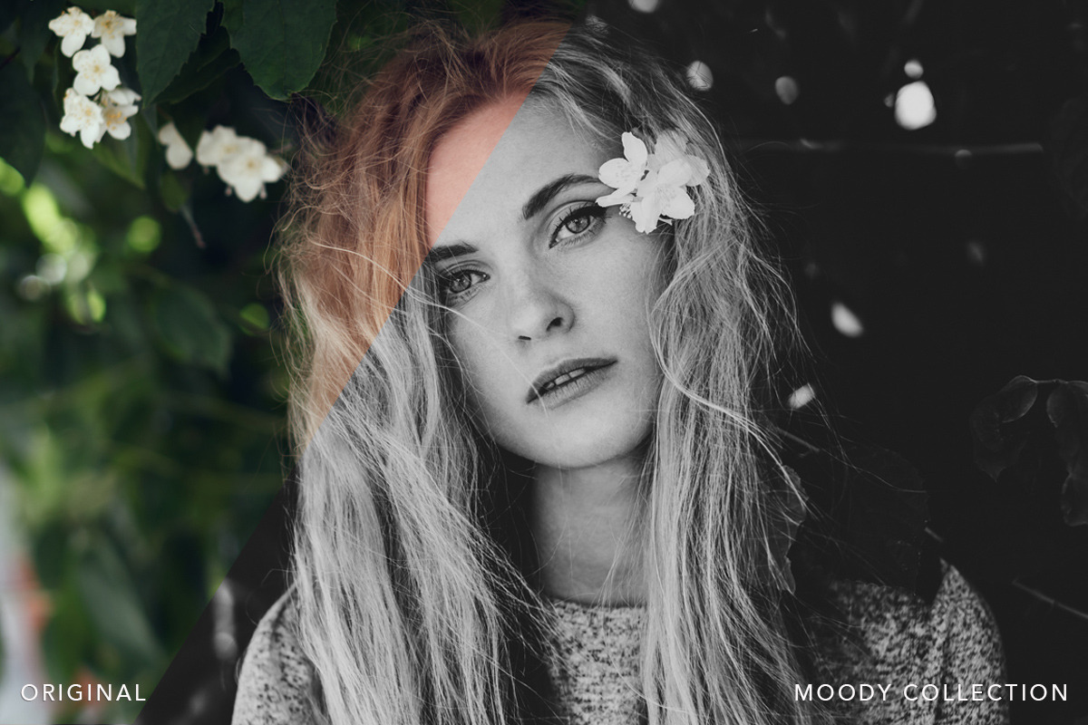 MOODY PHOTOSHOP ACTIONS ACR PRESETS, an Action Add-On by BeArt-Presets (Photo 5 of 15)