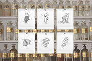 Magical Mystical Vector Illustration, an Illustration by Emma Webb Studio (Thumbnail 5 of 9)