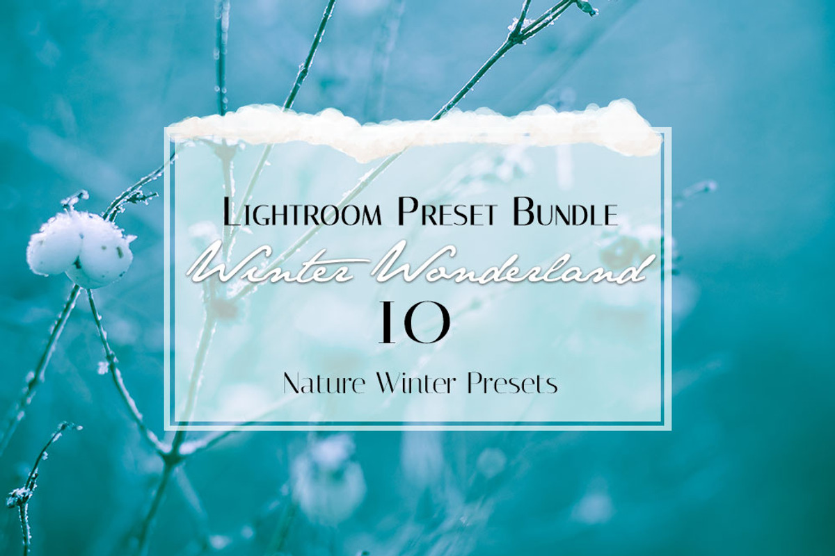 Winter Wonderland Lightroom Preset, a Plug-in Add-On by Jana Mänz Photography (Photo 2 of 8)