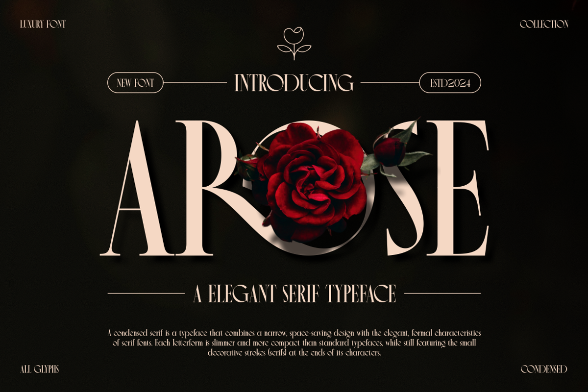 Arose - Elegant Serif Typeface, a Serif Font by MaikoHatta (Photo 1 of 8)