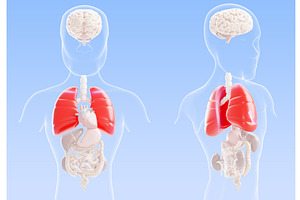 3d lungs pneumonia visualization -, a Healthcare Illustration by Marozhkastudio