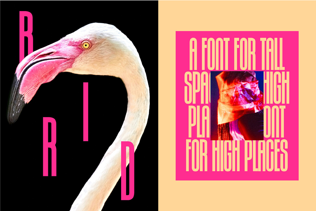 Joya Sans — Condensed Display Font, a Sans Serif Font by B:TYPE (Photo 4 of 10)