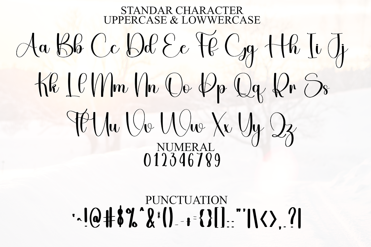 Planner Samantha, a Handwritten Font by FreshTypeINK (Photo 4 of 8)