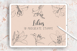 Procreate Botanical Stamps Bundle