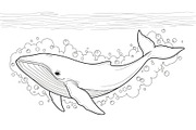 Whale Line Art Vector Bundle, an Illustration by yasushie (Thumbnail 46 of 51)