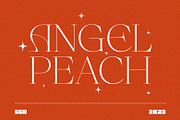 SS Angel Peach - Fancy Serif Font, a Serif Font by Typocracy Studio (Thumbnail 1 of 12)