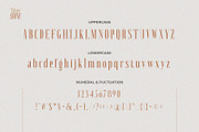 River Shine, a Serif Font by ToniStudio (Thumbnail 12 of 15)