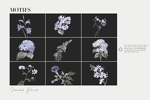 Hortensis, Elegant & Luxury Prints!