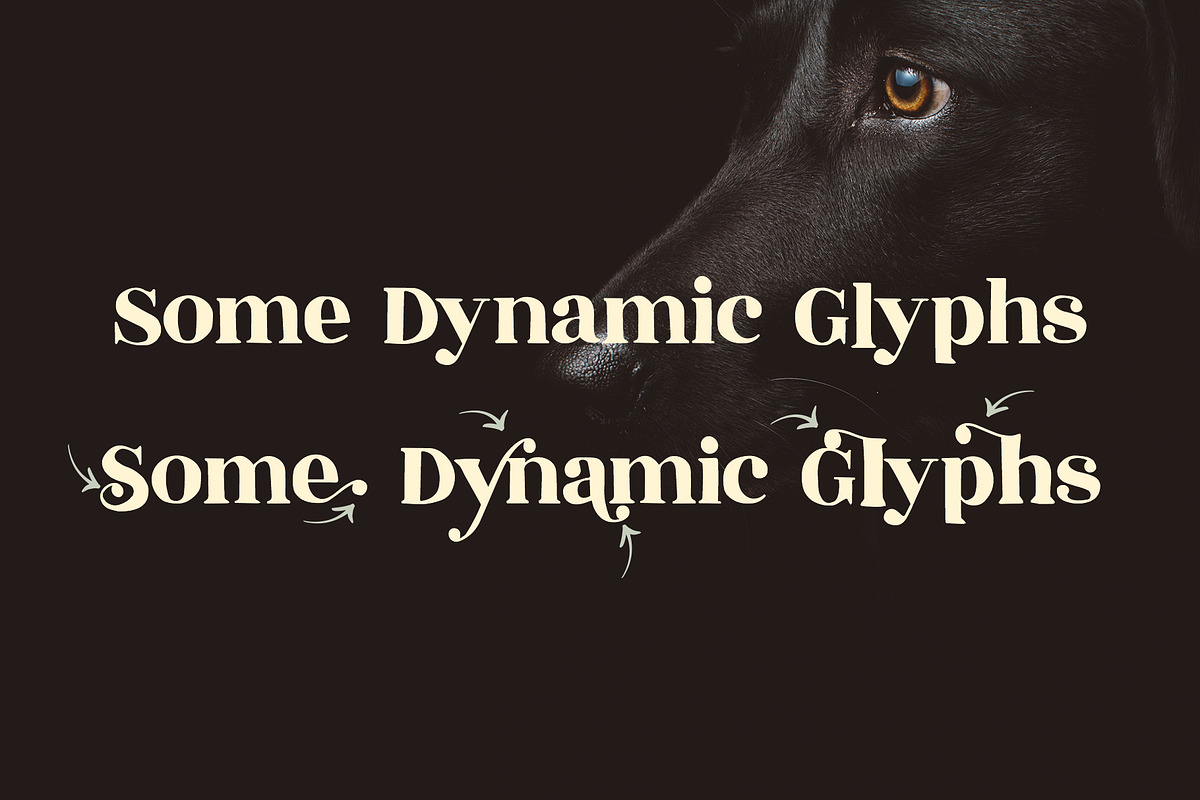 Speakeasy | A Classy Serif preview 3