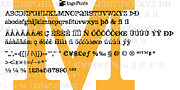 DéFormé, a Serif Font by ingoFonts (Thumbnail 8 of 9)