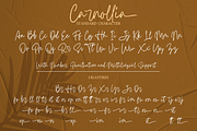 Carnollia Signature, a Script Font by Hanaksara Studio (Thumbnail 13 of 15)