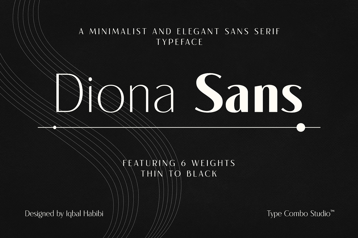 Diona Sans - Font Family, a Sans Serif Font by iqbal habibi (Photo 1 of 11)