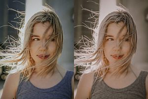 5 SAGE LIGHTROOM PRESETS