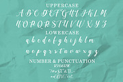Marriage Saga - Beautiful Wedding, a Script Font by PutraCetol Studio (Thumbnail 9 of 11)
