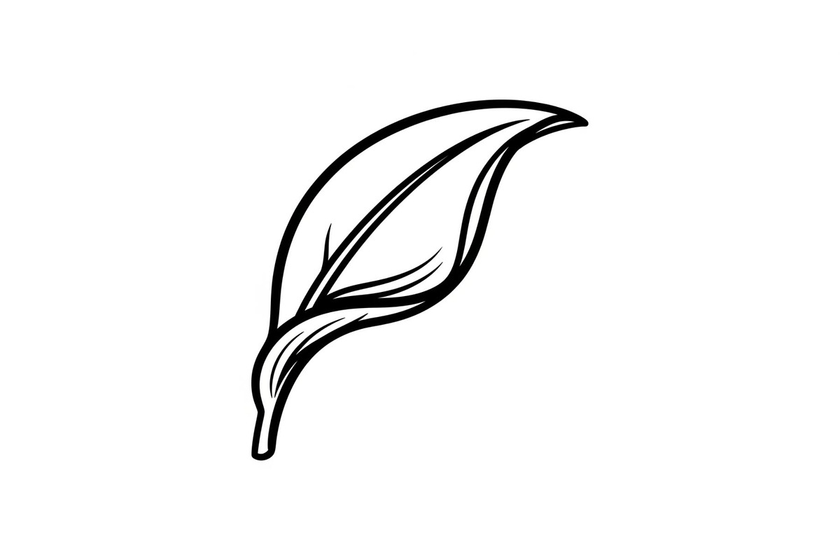 Hand Drawn Leaf Line Art Bundle, an Illustration by hafijul (Photo 10 of 51)
