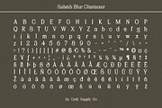 Sabeth Blur, a Serif Font by Craft Supply Co. (Thumbnail 8 of 8)