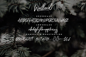 Westland Handstylish Font