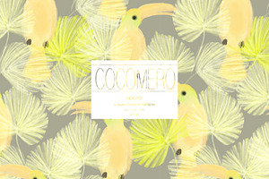 Cocomero, Luxury Tropical Pattern