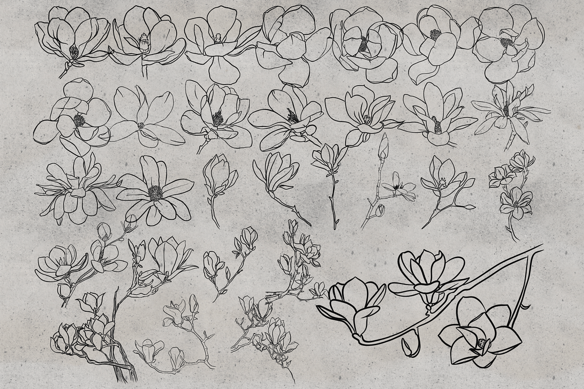 100 Magnolia Procreate Stamps, a Brush Add-On by TheWhiteCatLab (Photo 4 of 5)