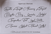 William Jameson Font, a Handwritten Font by Letterhanna Studio (Thumbnail 12 of 15)