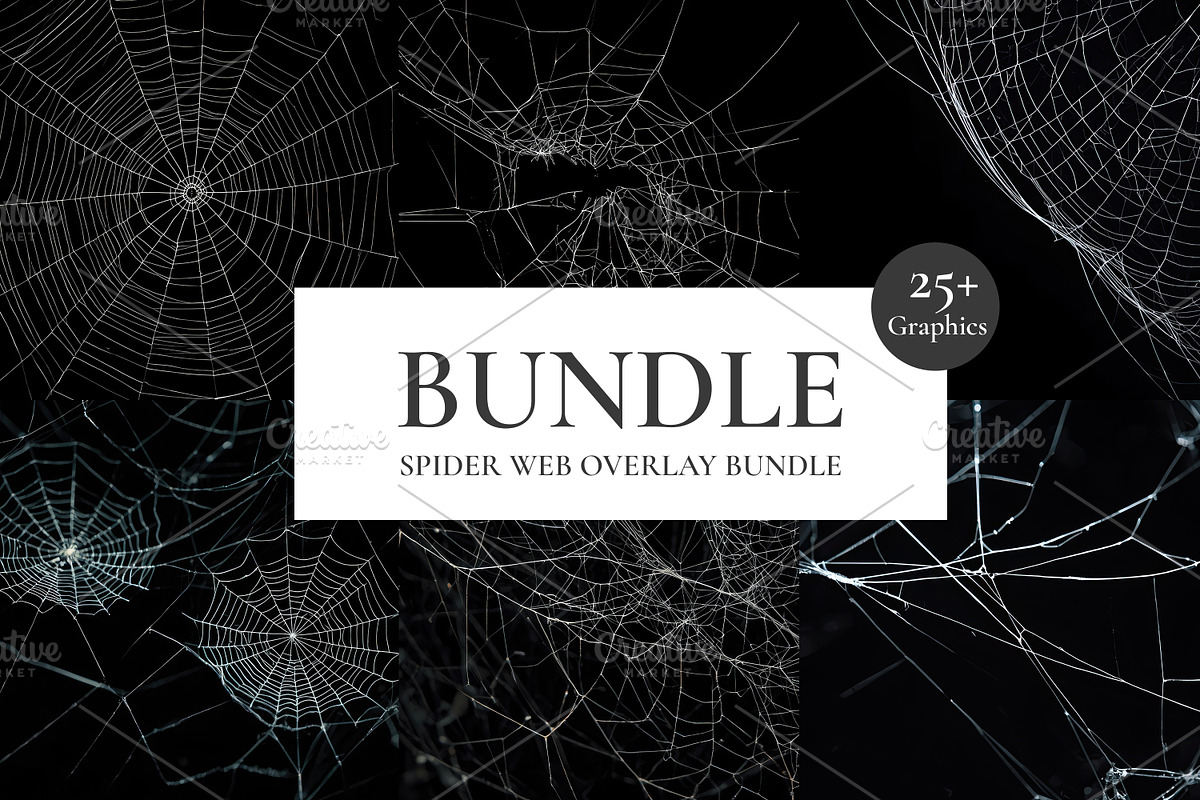 Spider Web Overlay Bundle, a Background Photo by M9 Design (Photo 1 of 10)
