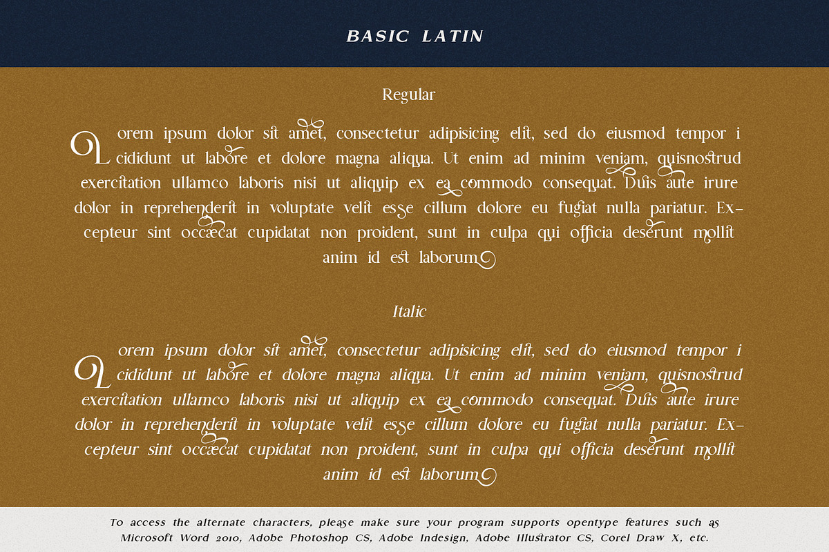 Gold Leaf, a Serif Font by Fontsgood (Photo 8 of 12)