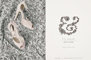 rose | botanical illustrations, an Illustration by Sophia J Caldwell (Thumbnail 6 of 23)