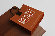 Demica || Modern Minimalist Serif, a Serif Font by Ermedia Studio (Thumbnail 8 of 10)