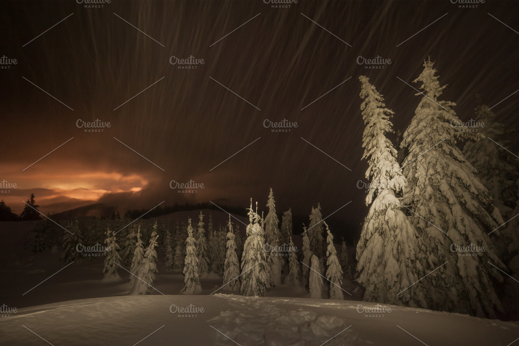 Night winter landscape with forest containing winter, night, and forest, a Nature Photo by firewings