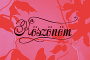 Stradivelle - Script Font, a Script Font by Lilithcollageart (Thumbnail 3 of 10)