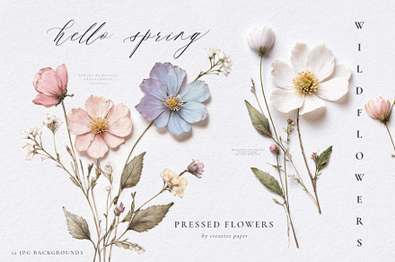Pressed Flowers I Hello Spring, a Background Graphic by by creative paper