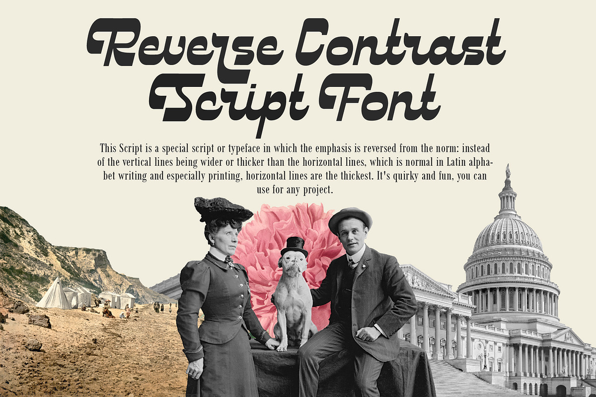 Retromax | Reverse Contrast Script, a Script Font by Debut Studio (Photo 4 of 18)