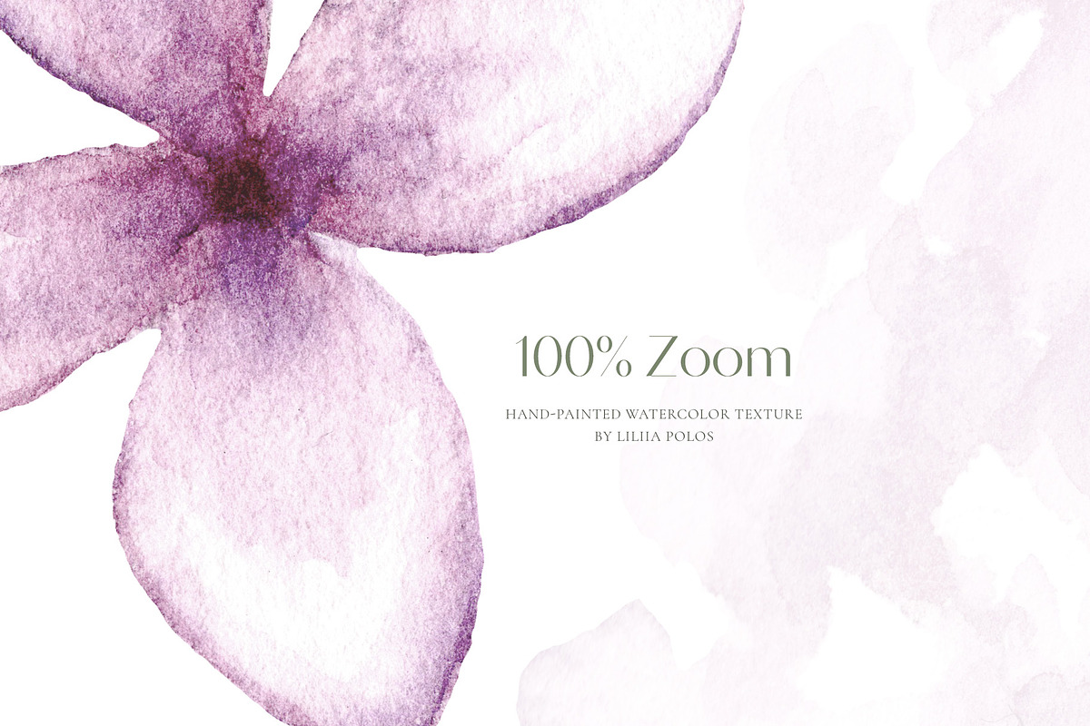 Lilac Garden Watercolor Collection, a Decorative Illustration by Liliia Polos Illustration (Photo 9 of 10)