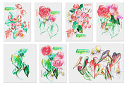 Begonia floral background, a Decorative Illustration by katya.bogina (Thumbnail 5 of 5)