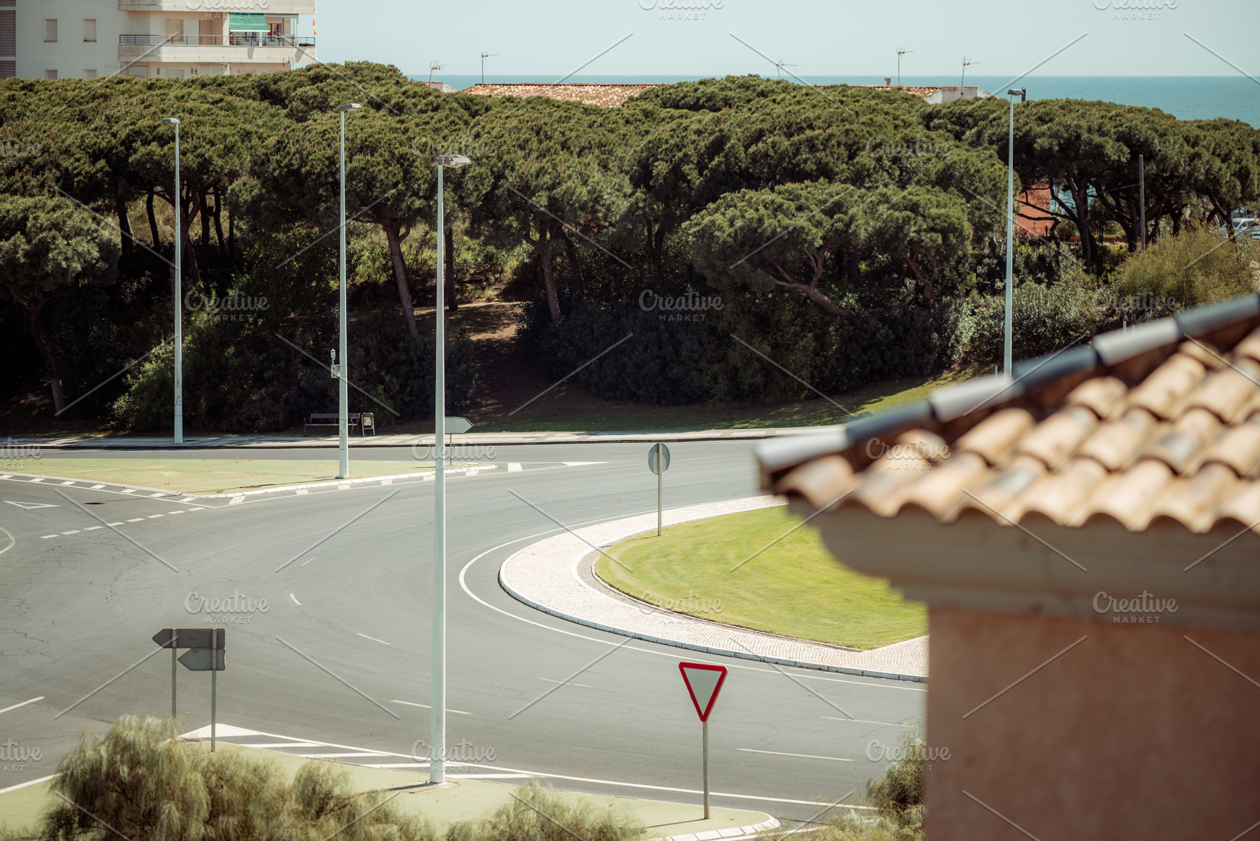 Coastal roundabout with pine trees, a Transportation Photo by SkyNext