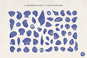Sea Shells Whimsical Collection, an Object Graphic by Alena Koval (Thumbnail 3 of 19)