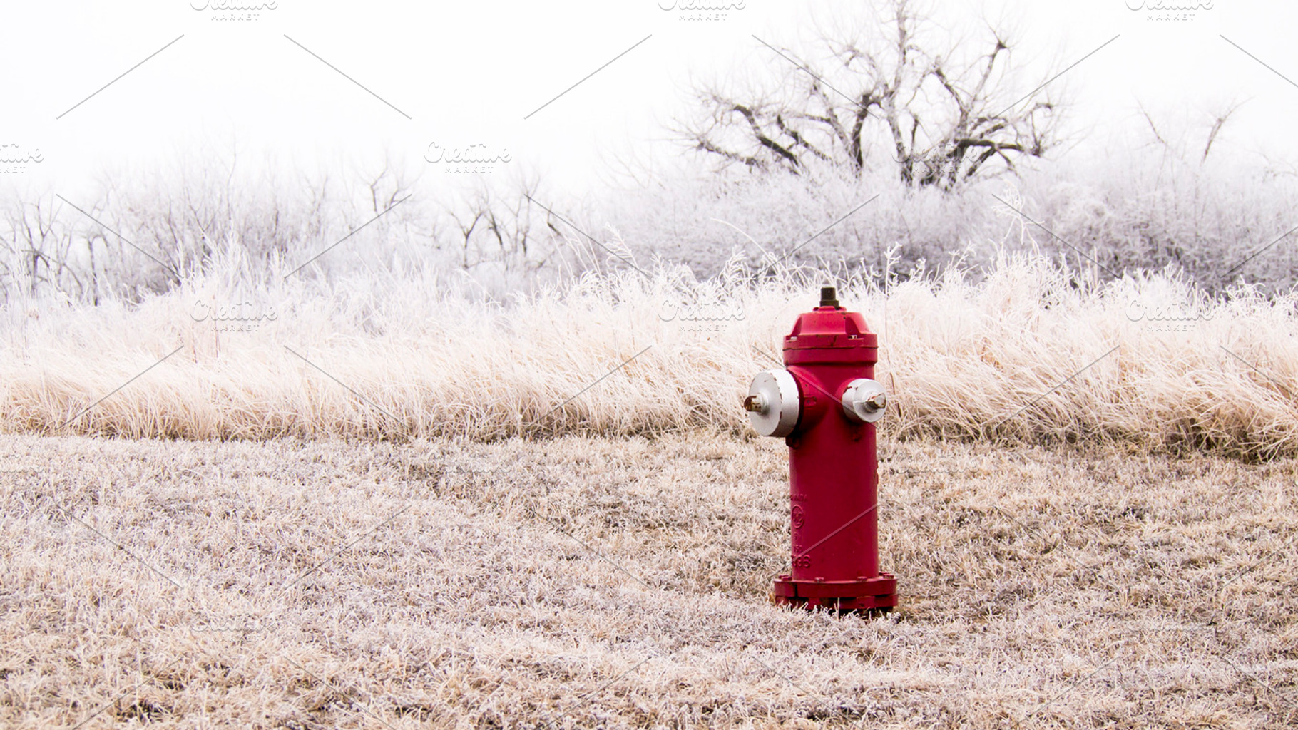 Winter Fire Hydrant