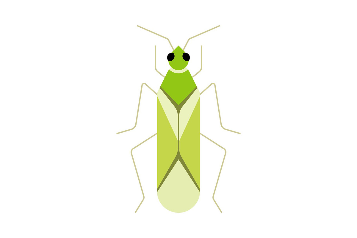 Green Plant Bug Insect, a Solid Icon by Buqancreative (Photo 1 of 2)