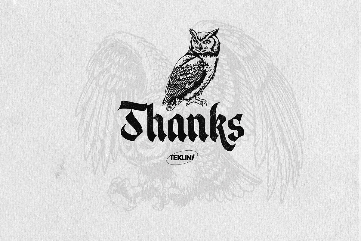 Owl Illustration Pack, an Animal Illustration by Tekuni (Photo 12 of 12)