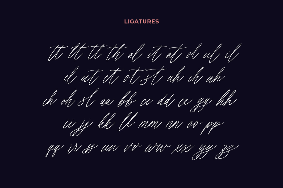 Erlinka Hillary - Signature Font, a Script Font by Letterhend Studio (Photo 8 of 10)