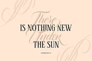 Bandung PRO - Luxury Wedding Font, a Script Font by dexsarharryfonts (Thumbnail 3 of 9)