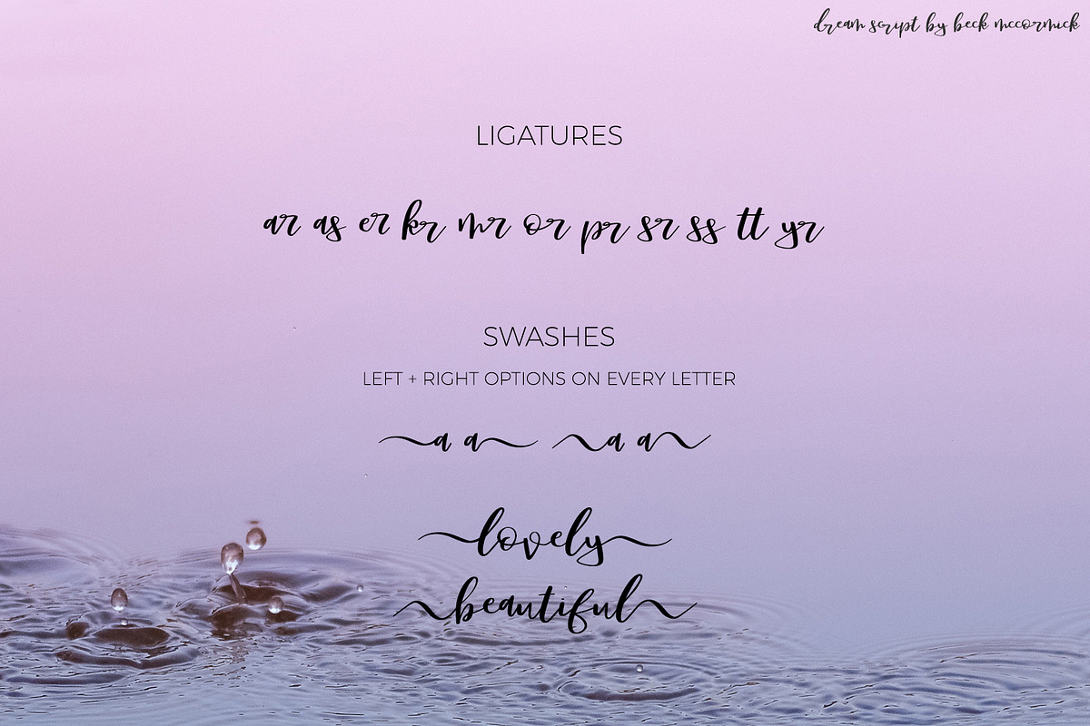 Dream Script with Swashes, a Script Font by Beck McCormick (Photo 10 of 11)